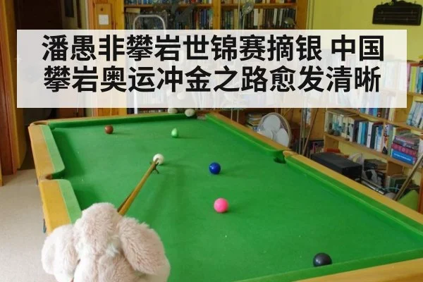 潘愚非攀岩世锦赛摘银 中国攀岩奥运冲金之路愈发清晰