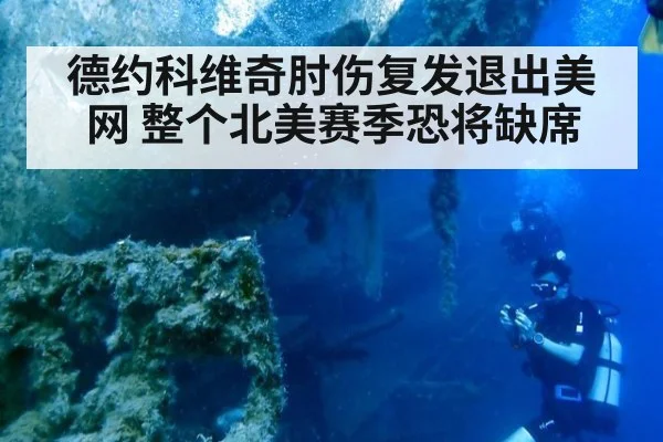 德约科维奇肘伤复发退出美网 整个北美赛季恐将缺席